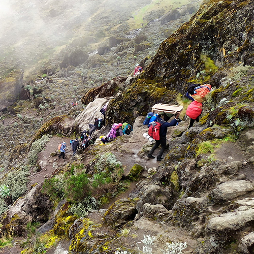 6 Days Climbing Mount Kilimanjaro On The Umbwe Route