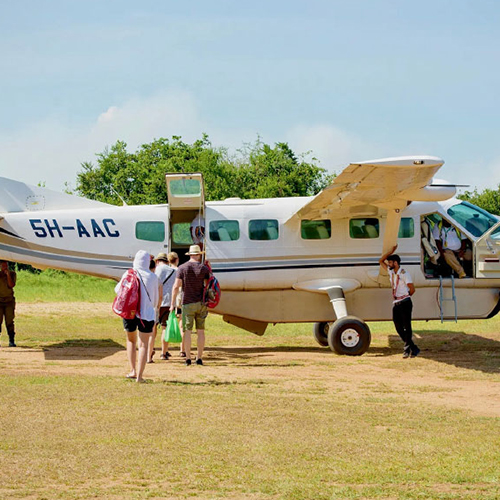 Day Trip Fly-in Safari to Mikumi National Park from Zanzibar