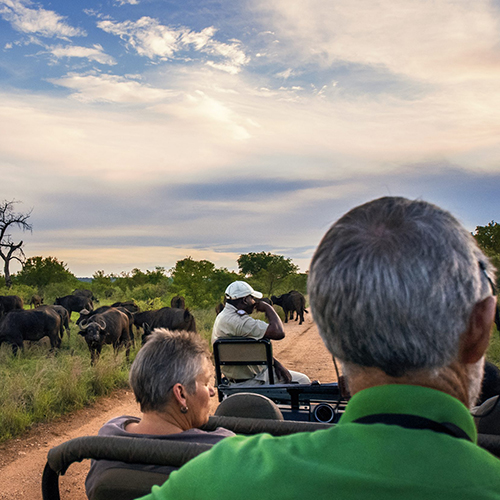 5 Days Fly-In Safari To Tarangire, Lake Manyara, Serengeti and Ngorongoro Crater From Zanzibar