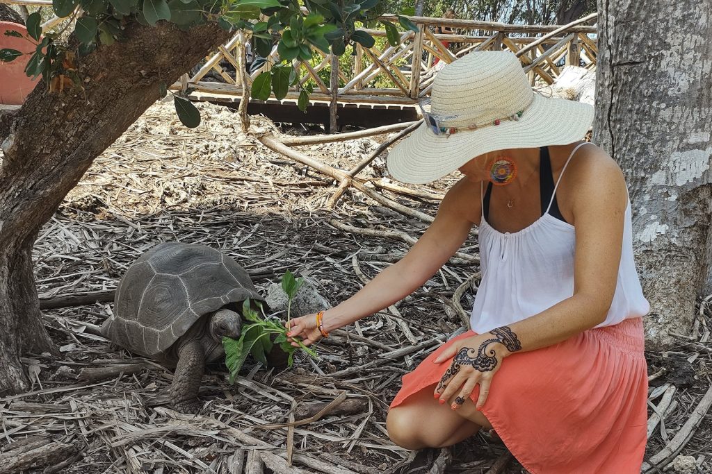 Prison Island Tour 09