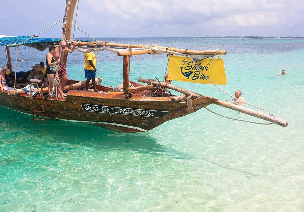 Safari Blue Adventure 06