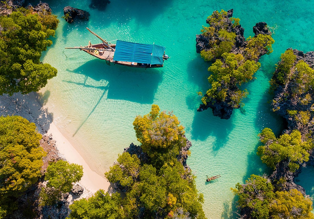 Safari Blue Adventure 07 1