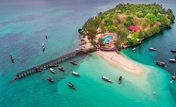 Boat Trips in Zanzibar – Best Tours, & Experiences 11 prison island