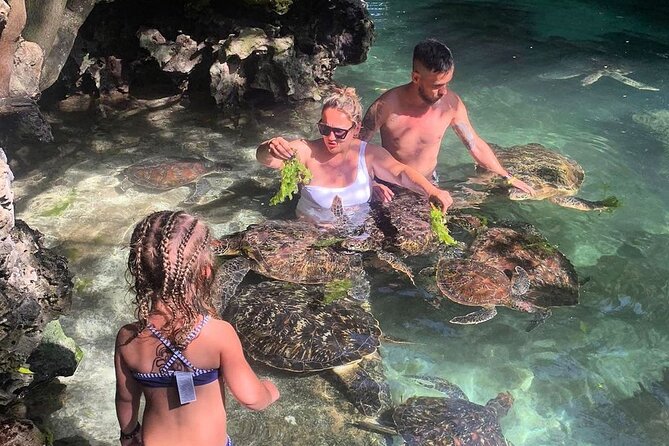 Nungwi Beach Zanzibar: Ultimate Traveler’s Guide 7 swim with turtles 6