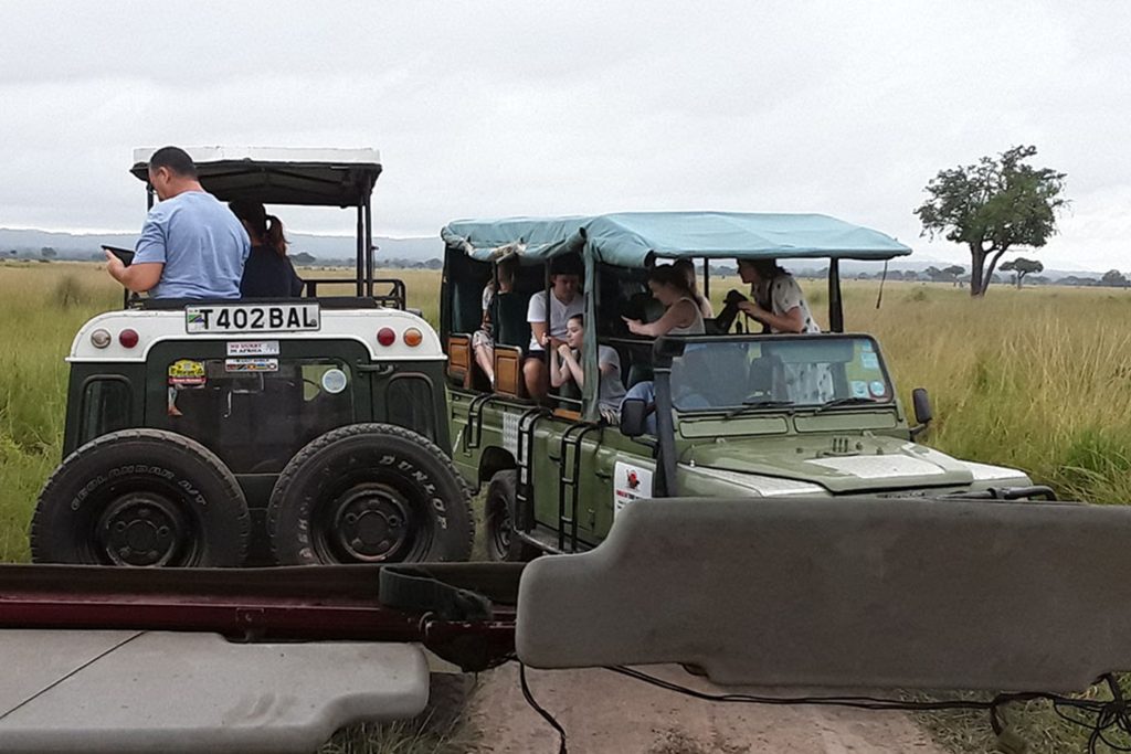 2 Day Safari From Zanzibar: Parks, Price & Bookings 5 2 Days Drive in Safari To Mikumi National Park from Zanzibar 07