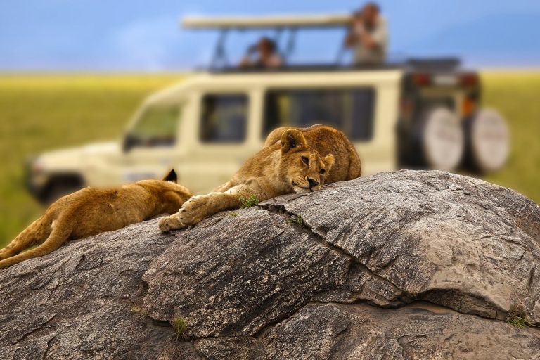 Day Trip Fly in Safari to Selous Game Reserve from Zanzibar 02