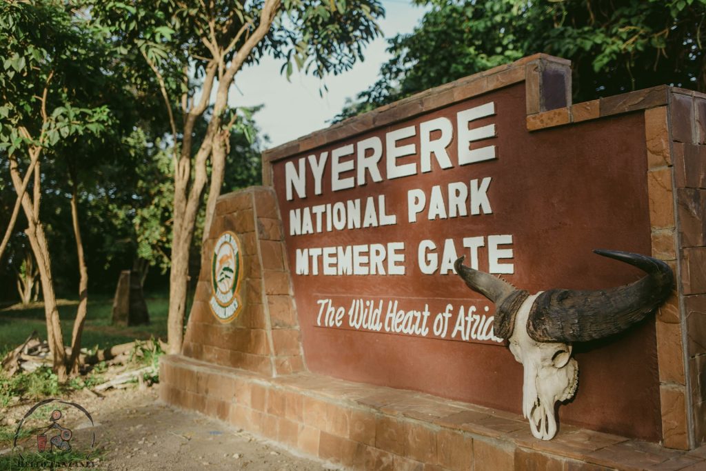 Is There Safari in Zanzibar? Full Guide 10 Day Trip Fly in Safari to Selous Game Reserve from Zanzibar 05