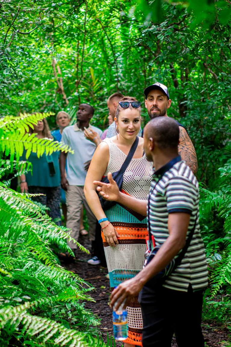 Jozani Forest 1