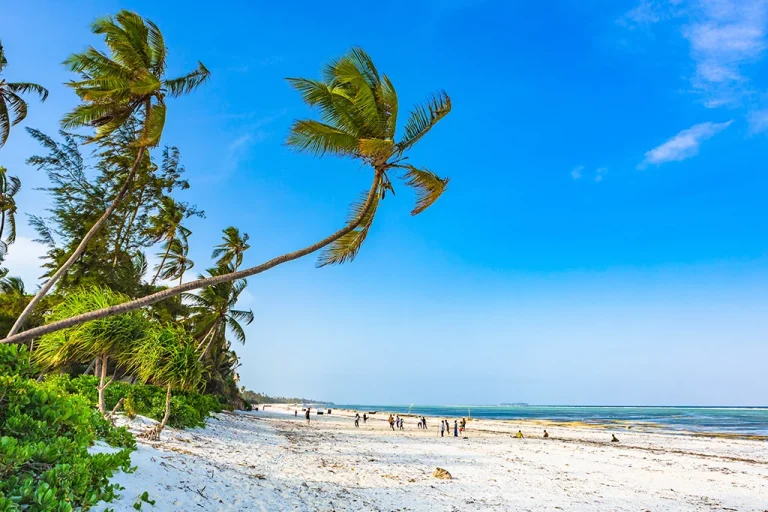 Matemwe Beach Zanzibar Tanzania
