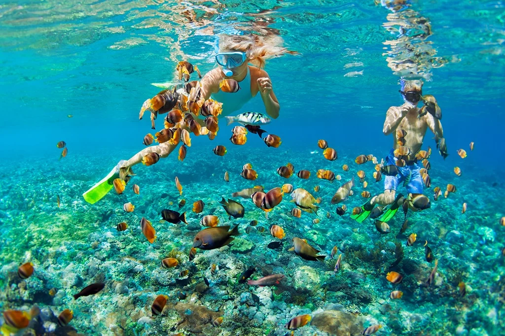Activities for Couples in Zanzibar 4 Young couple snorkeling at Mnemba Island Tanzania