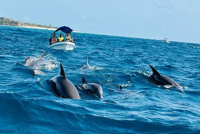 Activities for Couples in Zanzibar 16 cf