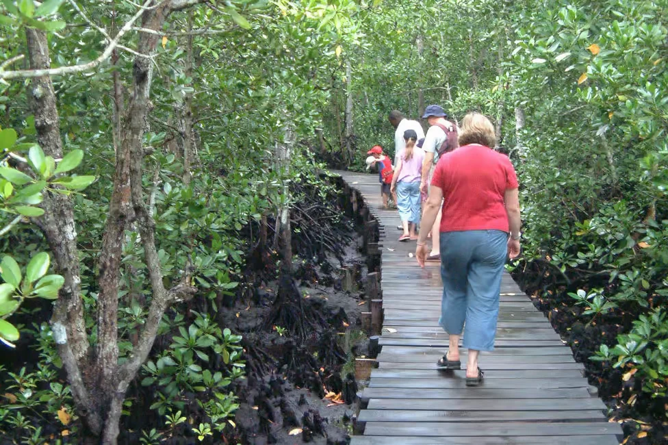 Things to Do in Zanzibar with Kids 7 image 6