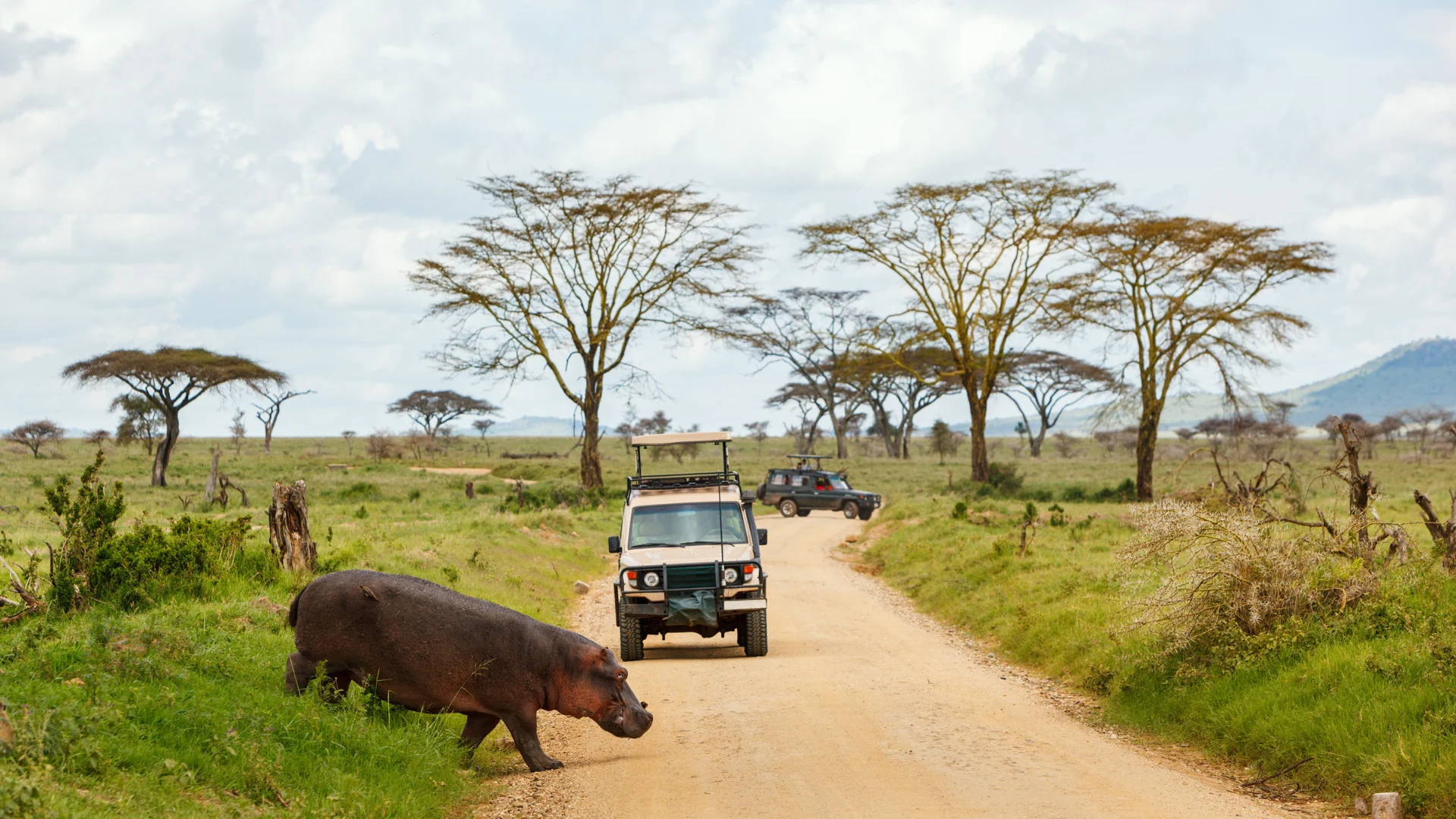3-Day Serengeti & Ngorongoro Safari From Zanzibar 3 game drives ngorongoro