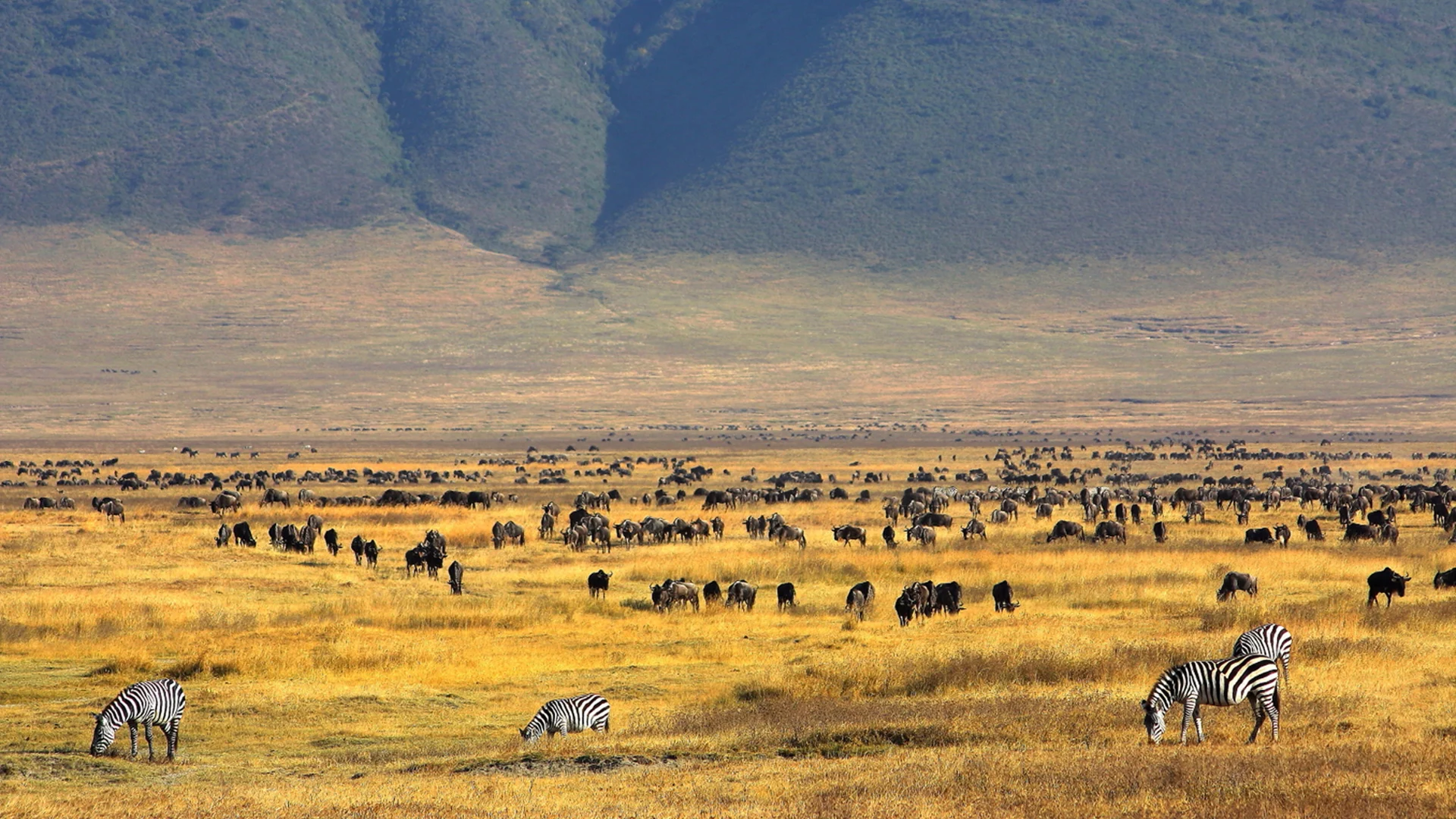 3-Day Serengeti & Ngorongoro Safari From Zanzibar 4 ngorongoro image