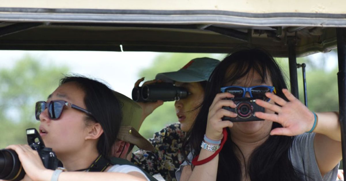 Day-Trip-Fly-in-Safari-to-Selous-Game-Reserve-from-Zanzibar-01