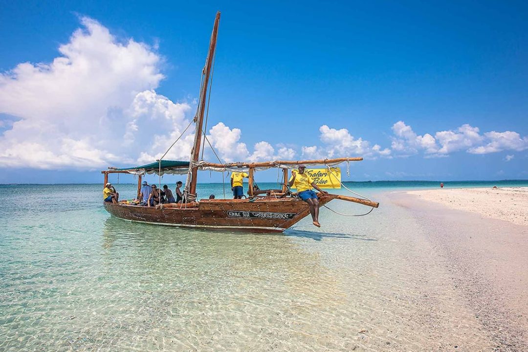zanzibar safari blue
