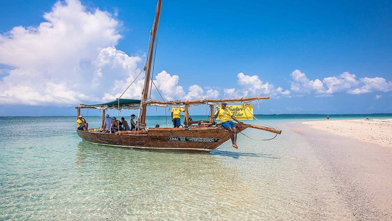 zanzibar safari blue