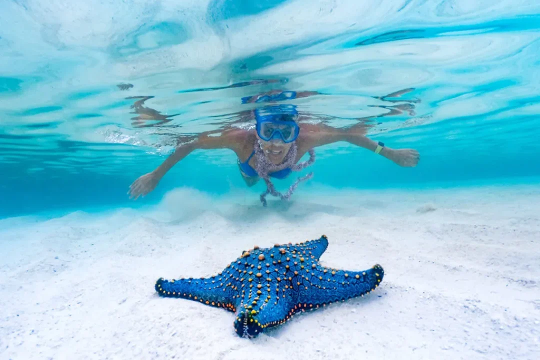 blue-lagoon-zanzibar-snorkeling-1-1024x768-1