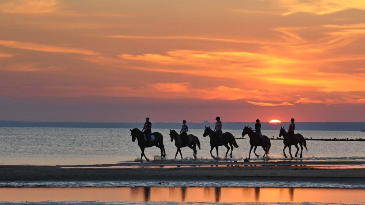 horse riding 9
