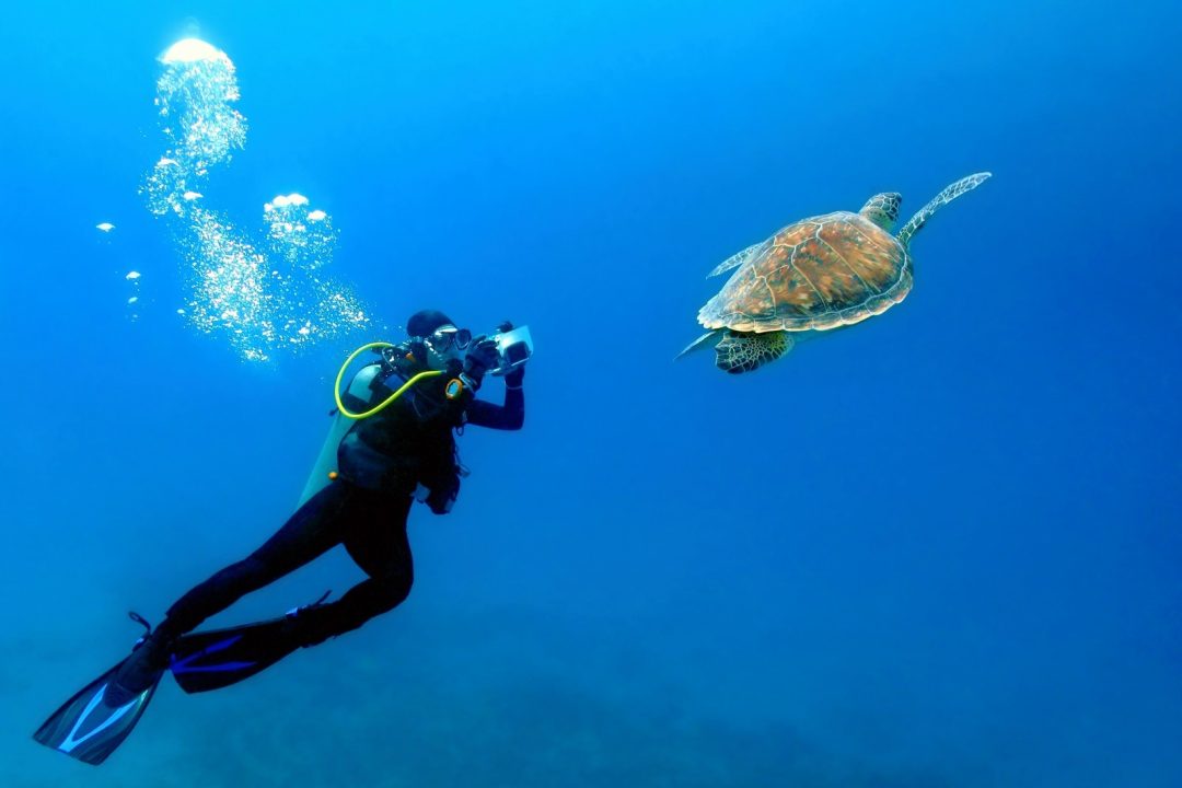 Scuba,Diver,Photographer,Swimming,With,The,Sea,Turtle.,Blue,Sea,